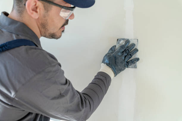 Reliable Anamosa, IA Dry wall and painting Solutions